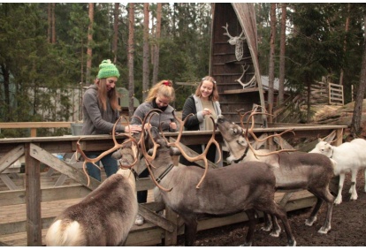 Perepilet Nuuksio Poropuistosse