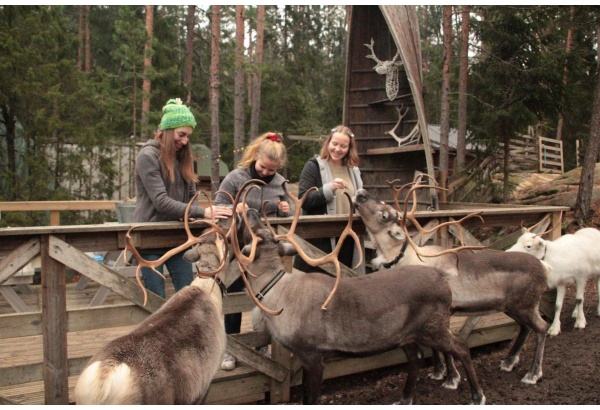 Perepilet Nuuksio Poropuistosse