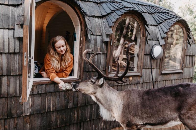 Perepilet Nuuksio Poropuistosse